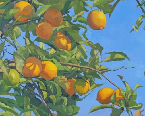 The Lemon Tree Paint By Number