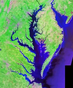 Topography Map Of The Chesapeake Bay Paint By Number
