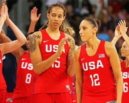 United States Women's National Basketball Team Paint By Number