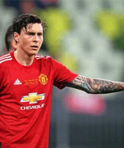 Victor Lindelof Paint By Number