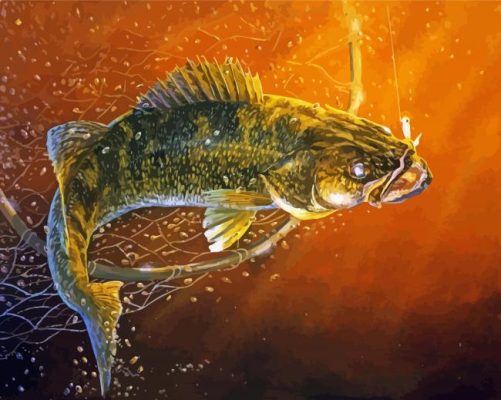 Walleye Fishing Underwater Paint By Number