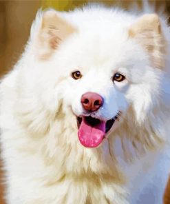 White Finnish Lapphund Paint By Number