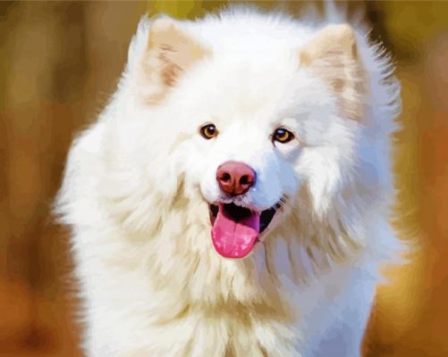 White Finnish Lapphund Paint By Number