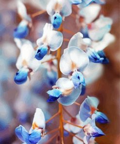 White And Blue Wisteria Paint By Number