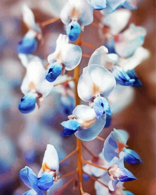 White And Blue Wisteria Paint By Number
