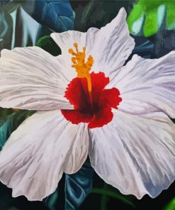 White Hibiscus Plant Art Paint By Number