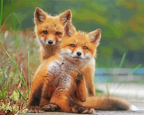 Wild Baby Foxes Paint By Number