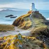 Ynys Llanddwyn Lighthouse Paint By Number
