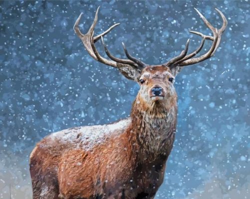 Adorable Deer In Snow Paint By Number