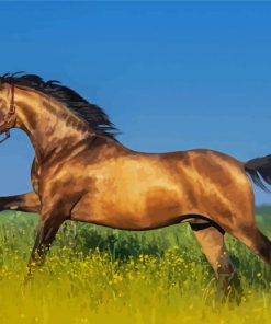 Adorable Golden Mare Horse Paint By Number