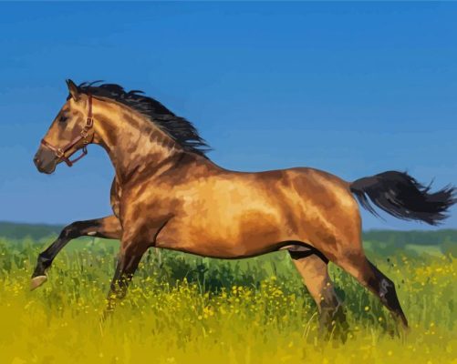 Adorable Golden Mare Horse Paint By Number