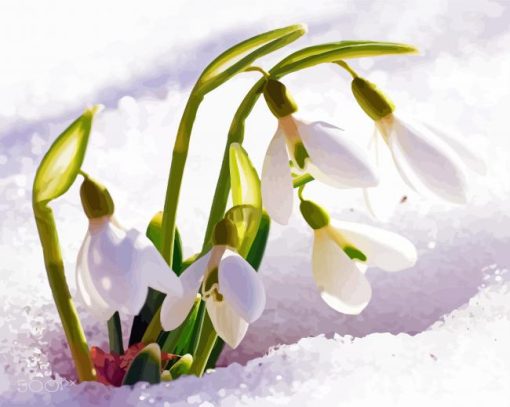 Adorable Spring Flower In Snow Paint By Number