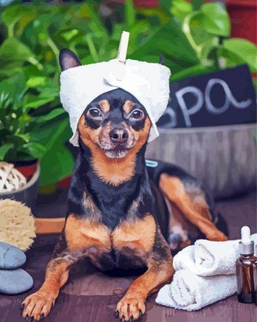Adorable Dog Spa Paint By Number