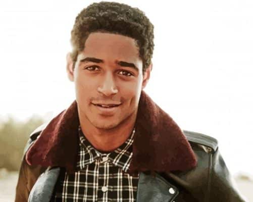 Aesthetic Alfred Enoch Paint By Number