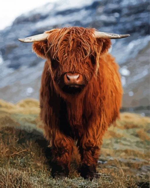 Aesthetic Baby Highland Cow Paint By Number