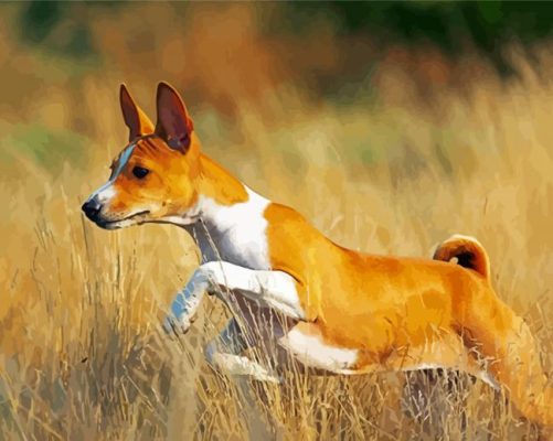 Aesthetic Basenji Paint By Number