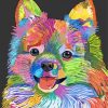 Aesthetic Colorful Pomeranian Art Paint By Number
