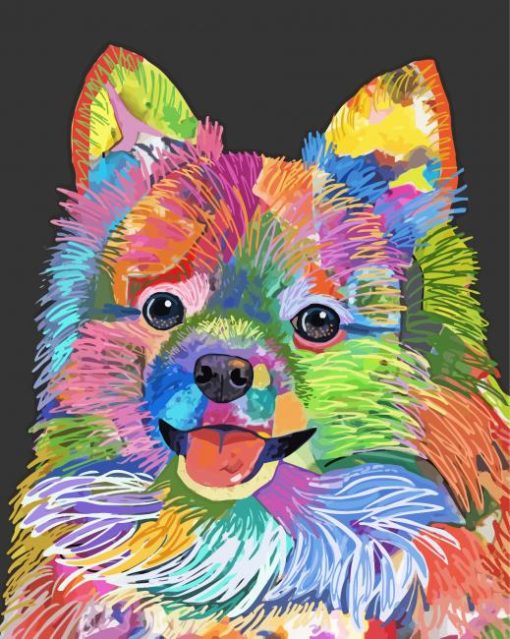 Aesthetic Colorful Pomeranian Art Paint By Number