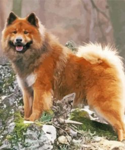 Aesthetic Eurasier Paint By Number