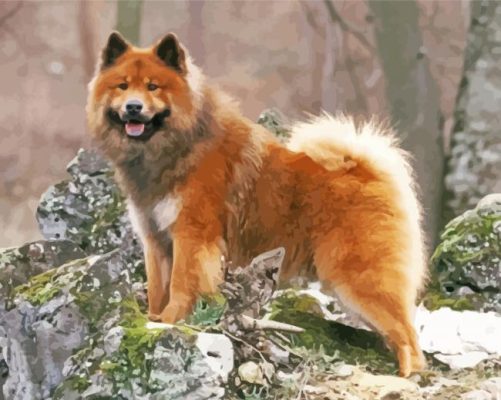 Aesthetic Eurasier Paint By Number