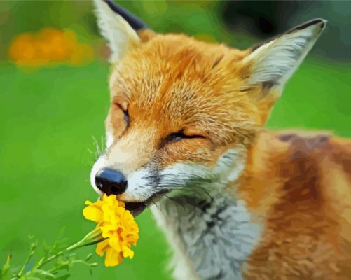 Aesthetic Fox In Flowers Paint By Number