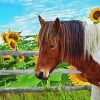 Aesthetic Horse With Sunflowers Paint By Number