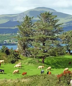 Aesthetic Irish Countryside Paint By Number