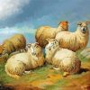 Aesthetic Scotland Sheep Paint By Number