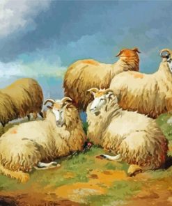 Aesthetic Scotland Sheep Paint By Number