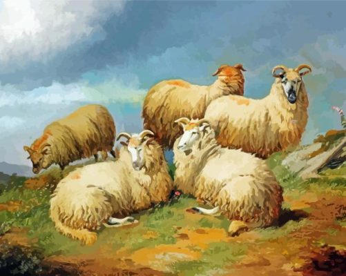 Aesthetic Scotland Sheep Paint By Number