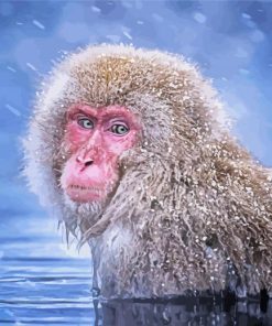 Aesthetic Snow Monkey Art Paint By Number