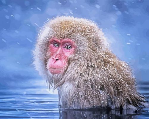 Aesthetic Snow Monkey Art Paint By Number