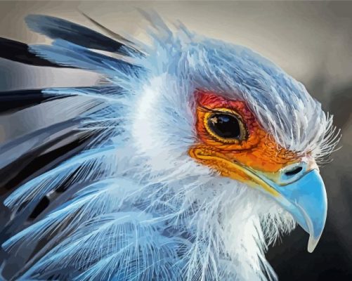 Aesthetic Bird Portrait Paint By Number