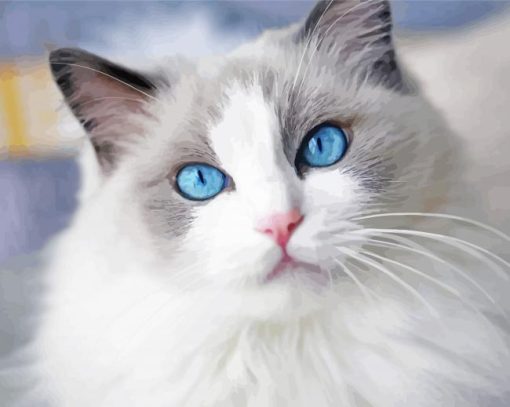 Aesthetic Grey White Cat With Blue Eyes Paint By Number