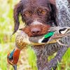 Aesthetic Pheasant Hunting Dog Paint By Number