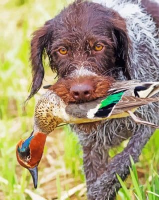 Aesthetic Pheasant Hunting Dog Paint By Number