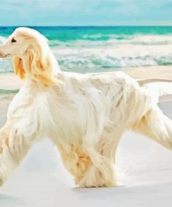Afghan Hound Dog By Sea Paint By Number