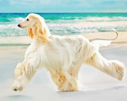 Afghan Hound Dog By Sea Paint By Number