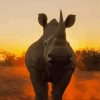 Animal Rhino Sunset Paint By Number