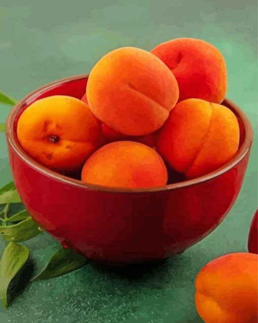 Apricot Food Paint By Number