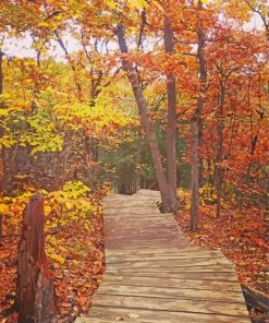 Autumn Mountain Trail Paint By Number