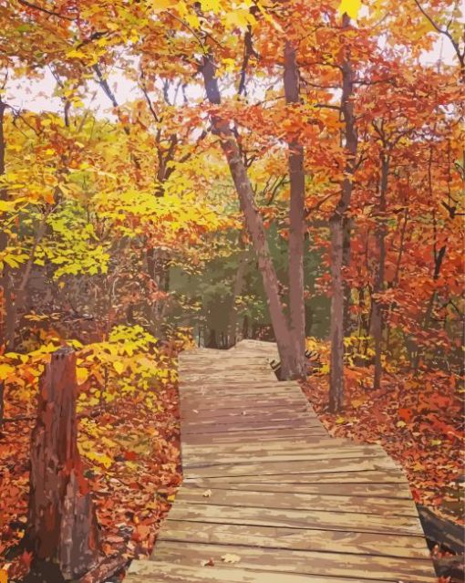 Autumn Mountain Trail Paint By Number