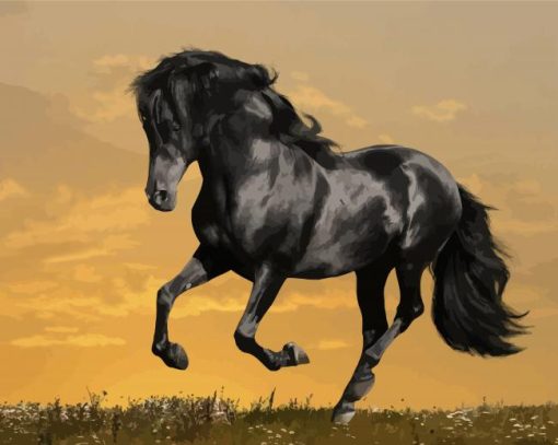 Black Alone Horse Paint By Number