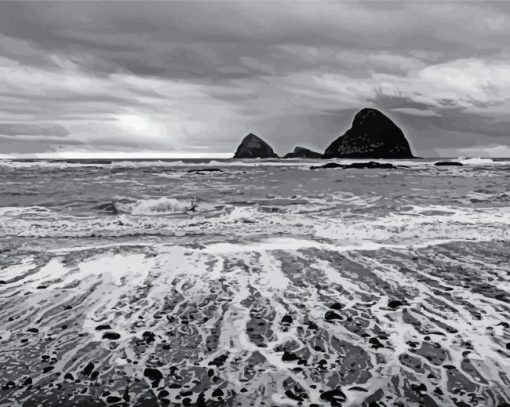 Black And White Oceanscapes Paint By Number
