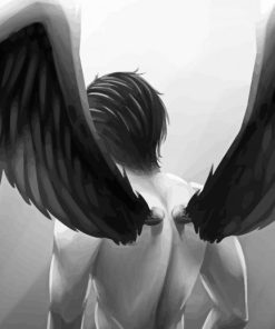 Black And White Male Angel Art Paint By Number