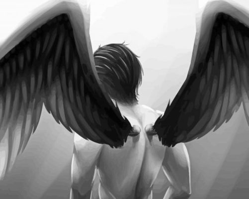 Black And White Male Angel Art Paint By Number