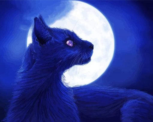 Black Cat And Moon Paint By Number