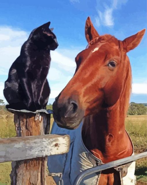 Black Cat Horse Paint By Number