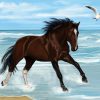 Brown Horse On The Beach Paint By Number