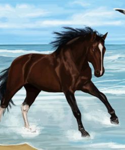 Brown Horse On The Beach Paint By Number